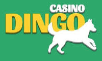 dingocasino logo