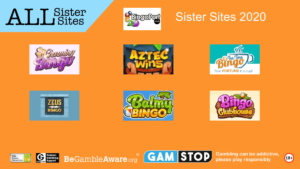 bingo port sister sites 2020 1024x576 1