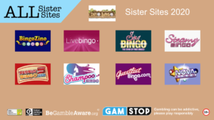 dino bingo sister sites 2020 1024x576 1