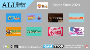 pet shop bingo sister sites 2020 1024x576 1