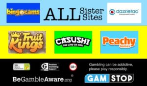 bingocams sister sites 2022