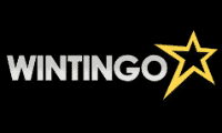 wintingo casino logo all 2022