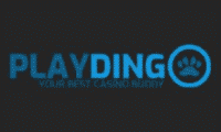 play dingo casino logo