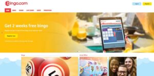 Bingo.com Website