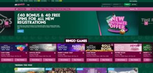 Paddy Power Bingo Website