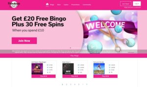 Fabulous Bingo Website