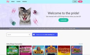 Kitty Bingo Website