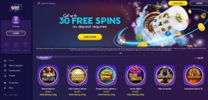 Wink Slots Website