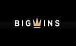 Big Wins logo