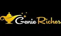 Genie Riches logo