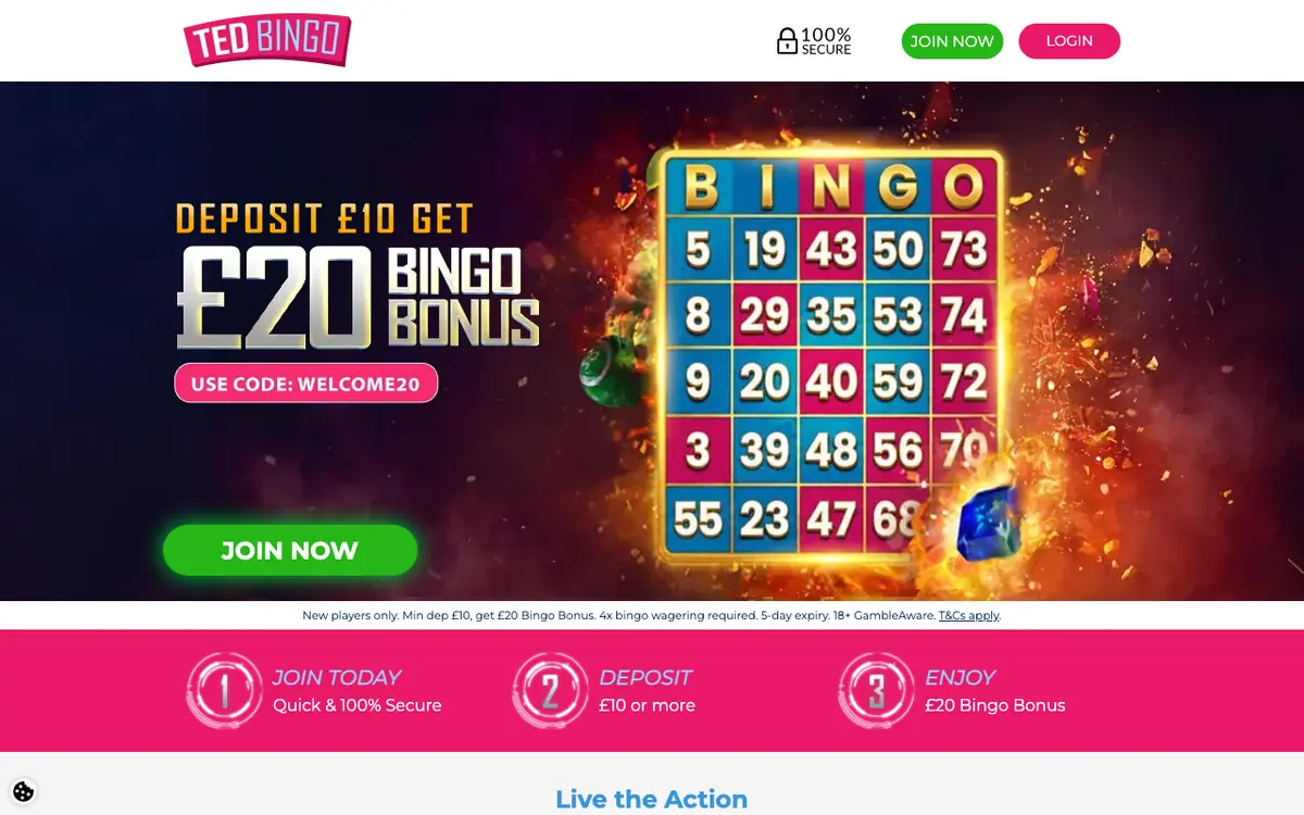 Dublin Wins domain redirect destination at Ted Bingo