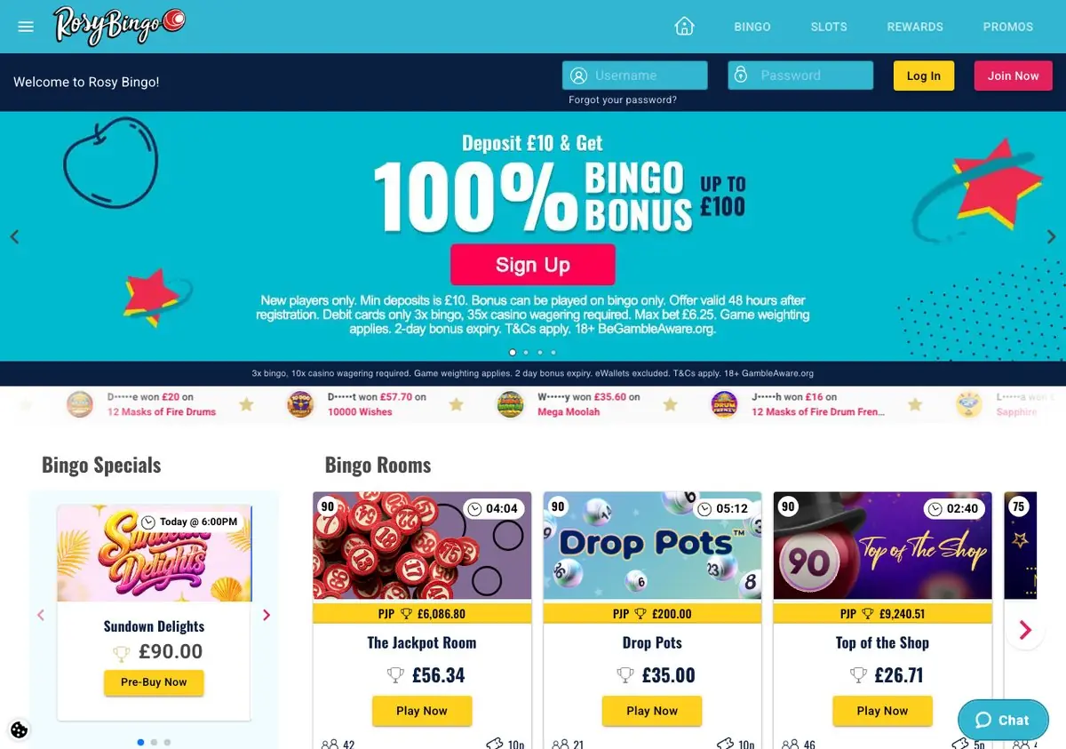 Rosy Bingo homepage screenshot – July 2026