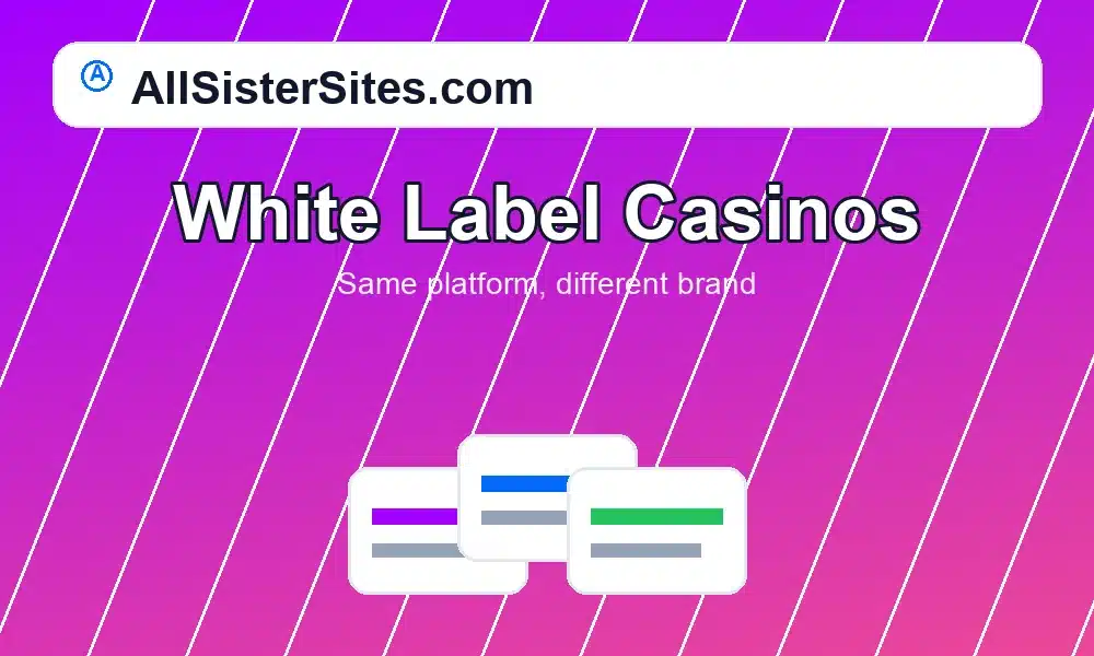 White Label Casinos Explained logo