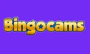 BingoCams logo