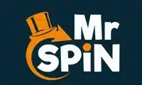Mr Spin logo