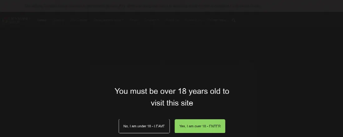 In Touch Games website